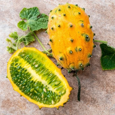 Africký meloun Kiwano - Cucumis metuliferus - semena - 8 ks