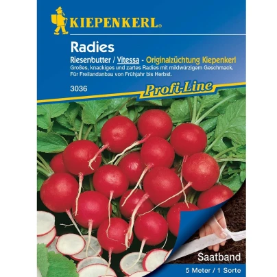 Semena ředkvičky obří Riesenbutter - výsevný pásek - 5 m