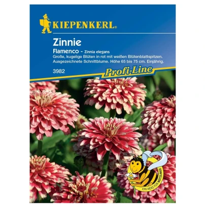 Ostálka Flamenco - Zinnia elegans - semena - 50 ks