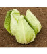 BIO Zelí bílé Eersteling - Brassica oleracea - bio semena - 20 ks