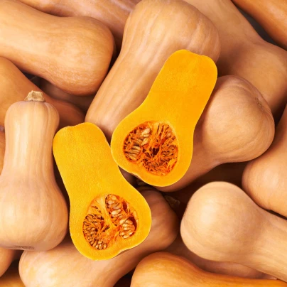 Dýně máslová Butternut - Cucurbita moschata - semena - 6 ks