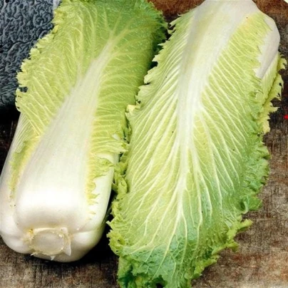 BIO pekingské zelí Granat - Brassica rapa pekinensis - bio semena - 100 ks