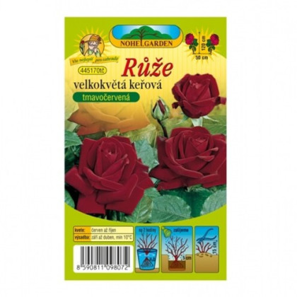 Růže velkokvětá keřová tmavě červená - Rosa - prostokořenné sazenice - 1 ks