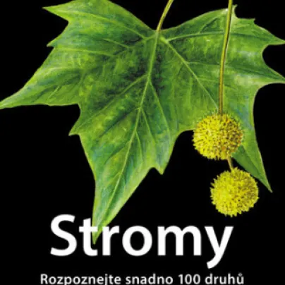 Stromy - Rozpoznejte snadno 100 druhů - kniha - 1 ks