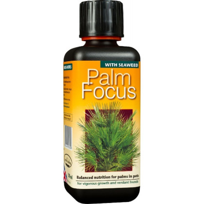 Hnojivo Palm Focus - 300 ml
