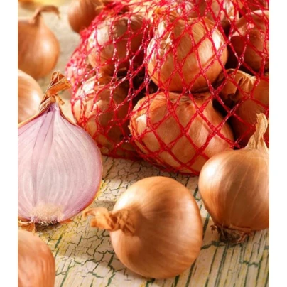 Cibule šalotka Red Sun - Allium cepa - cibulky - 500 g