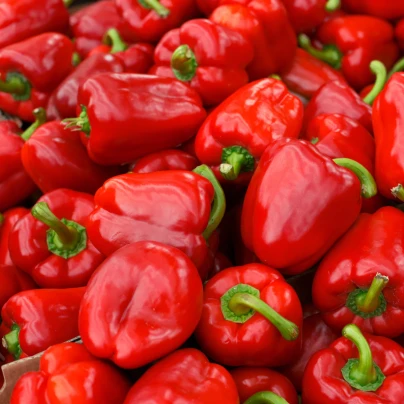 Paprika Roberta F1 - Capsicum Annuum - semena - 6 ks