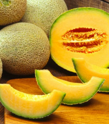 Meloun Cantaloupe Magenta - Cucumis melo - semena - 5 ks