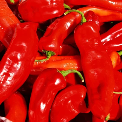 Paprika Lipari F1 - Capsicum annuum - semena - 5 ks