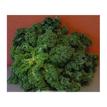 Kadeřávek zelený zimní - semena - 0,5 g