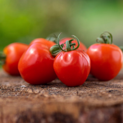 Rajče Jahodo - Solanum lycopersicum - semena - 25 ks