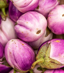 BIO Lilek Rosa Bianca - Solanum melongena - bio semena - 8 ks