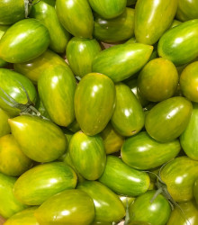 BIO Rajče Green Tiger - Solanum lycopersicum - bio semena - 7 ks