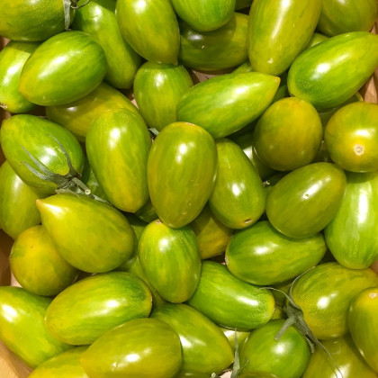 BIO Rajče Green Tiger - Solanum lycopersicum - bio semena - 7 ks