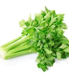 BIO listový celer