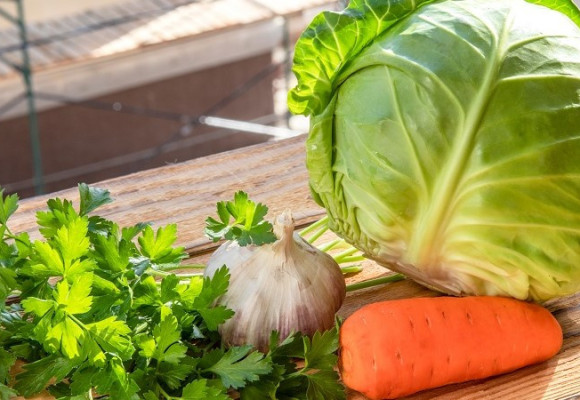 Vysejete-li je na podzim, brzy z jara budete moci sklízet zeleninu plnou vitaminů