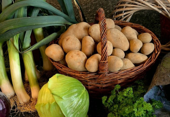 Jak uchovat sklizenou zeleninu a ovoce až do předjaří?